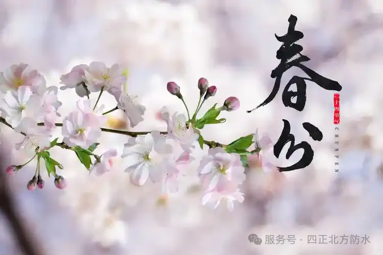 1744170071775944ixe9.png 640.webp.png